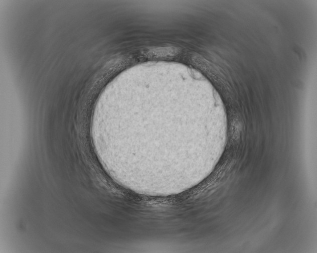 X0000112211393200909181544