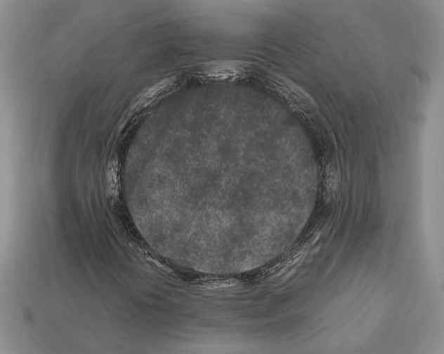 X0000112211394200909181544