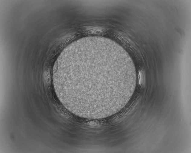 X0000112211395200909181544