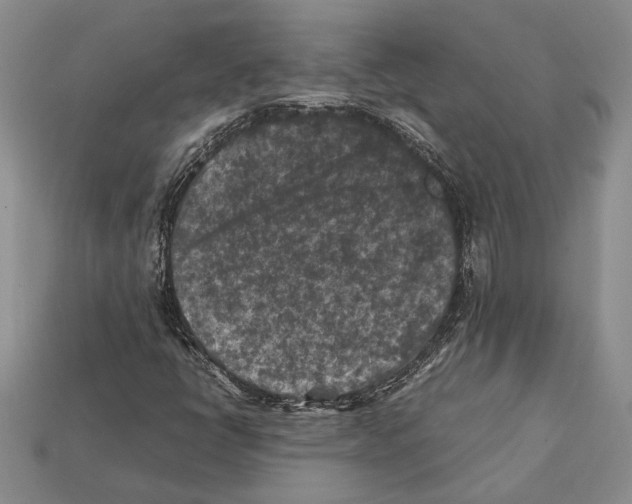 X0000112211398200909181544