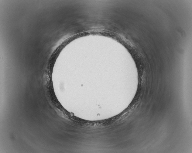 X0000112211400200909181544