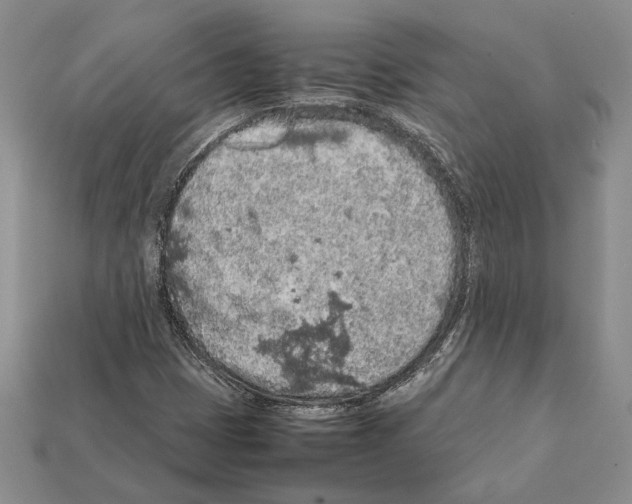 X0000112211401200909181544