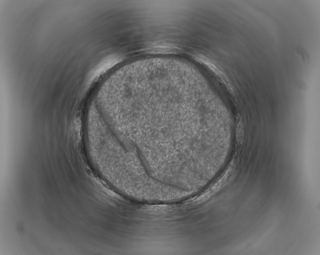 X0000112211402200909181544