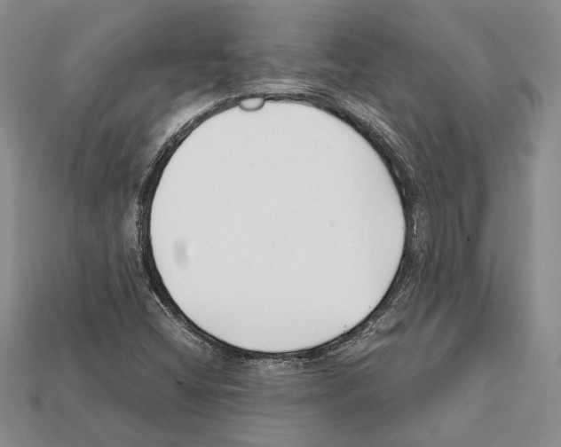 X0000112211404200909181544