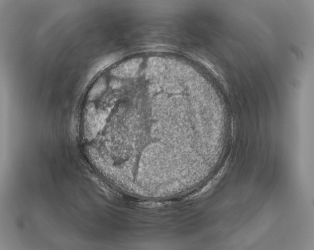 X0000112211405200909181544