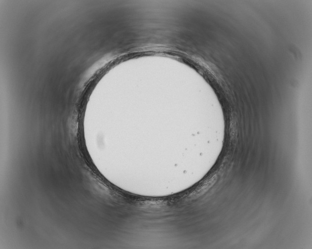 X0000112211406200909181544