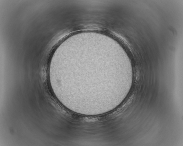 X0000112211407200909181544