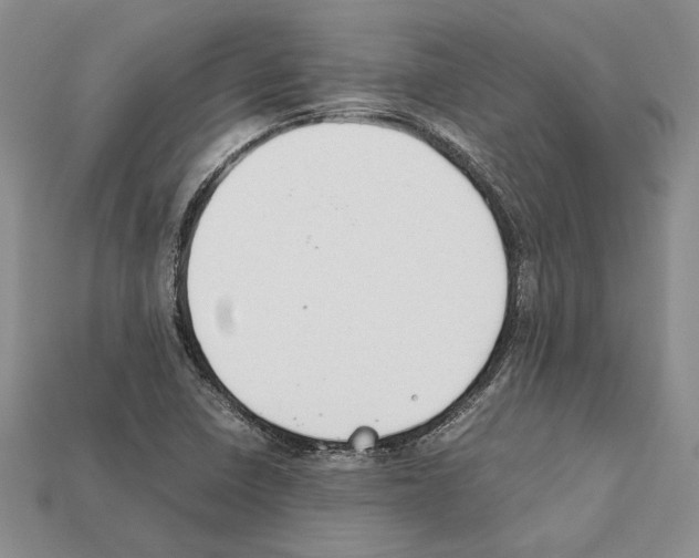X0000112211410200909181544