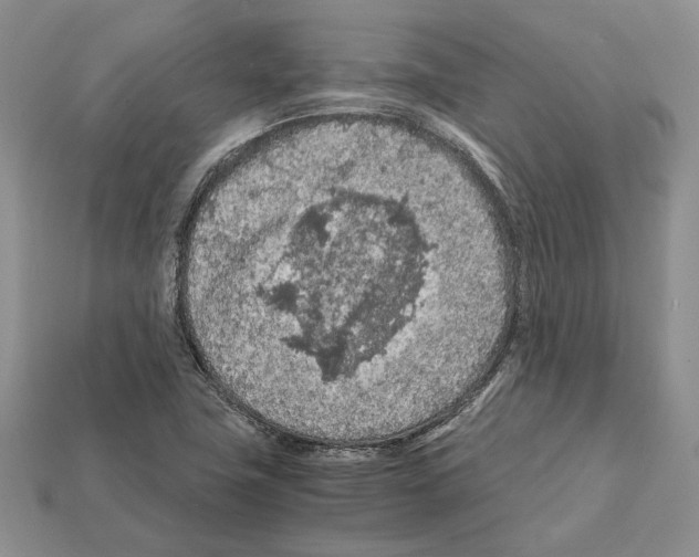 X0000112211411200909181544