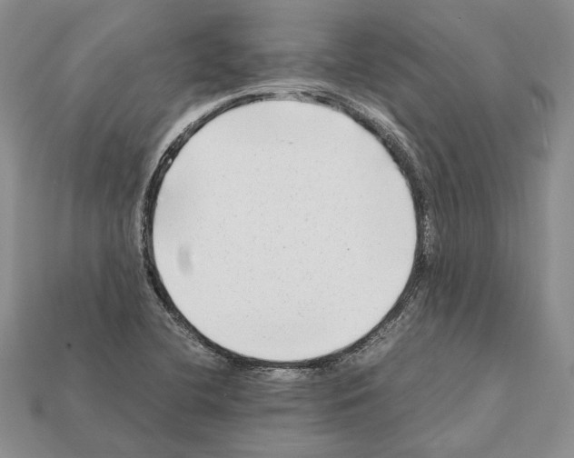 X0000112211412200909181544