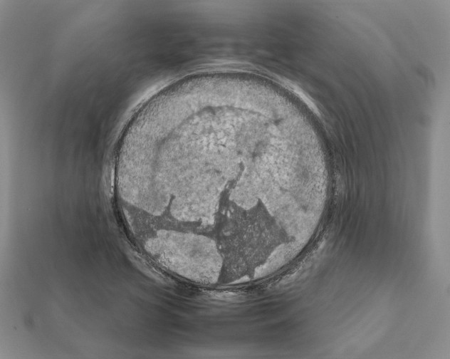 X0000112211413200909181544