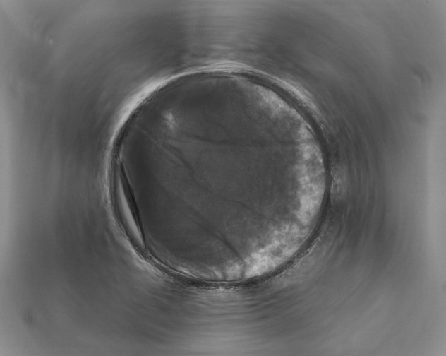 X0000112211414200909181544