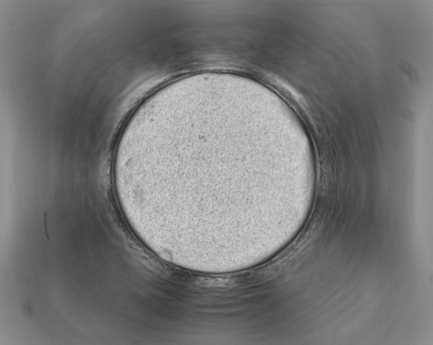 X0000112211415200909181544