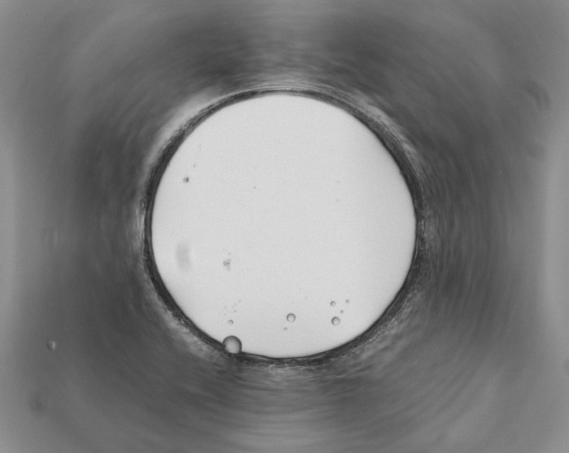 X0000112211416200909181544