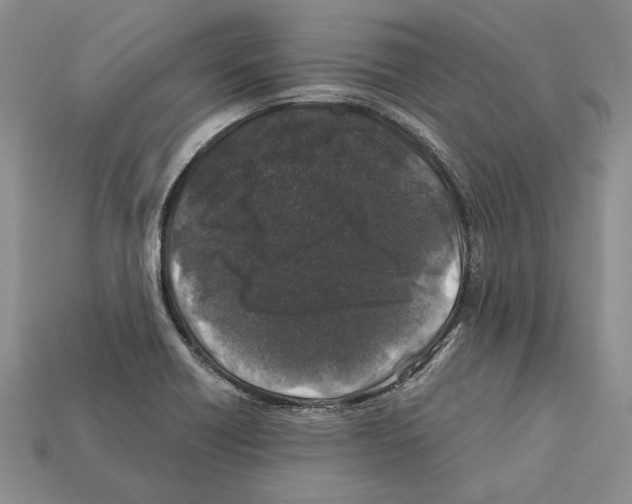 X0000112211418200909181544