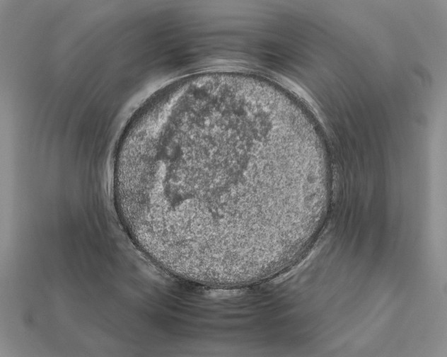 X0000112211419200909181544