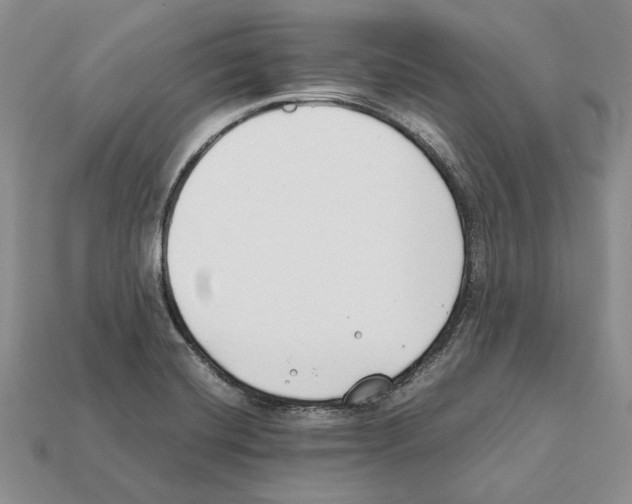 X0000112211420200909181544