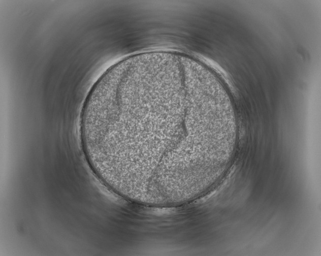 X0000112211423200909181544