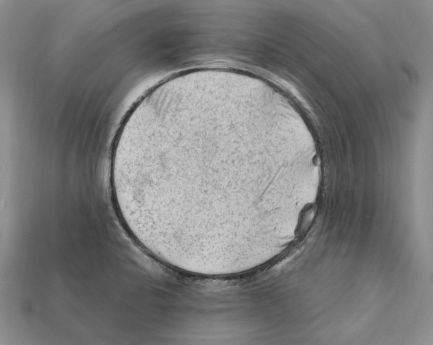 X0000112211424200909181544
