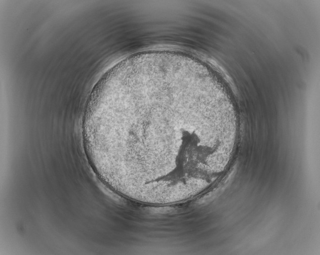 X0000112211425200909181544