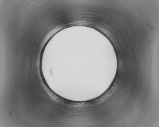 X0000112211426200909181545