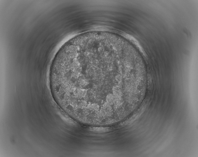 X0000112211427200909181545