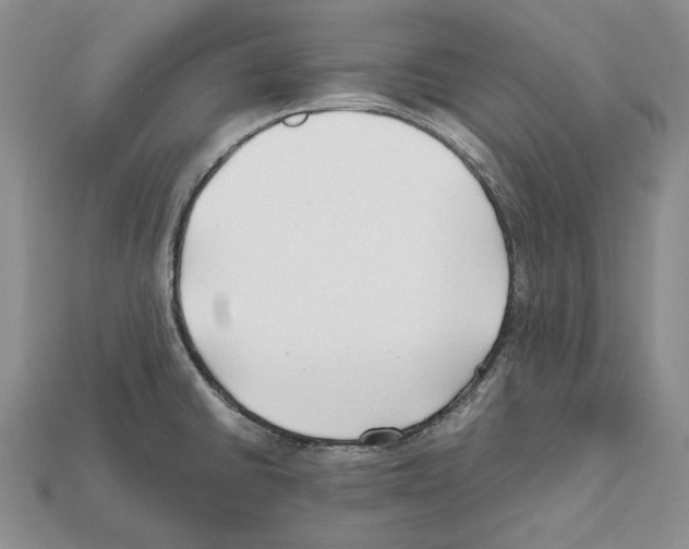 X0000112211430200909181545