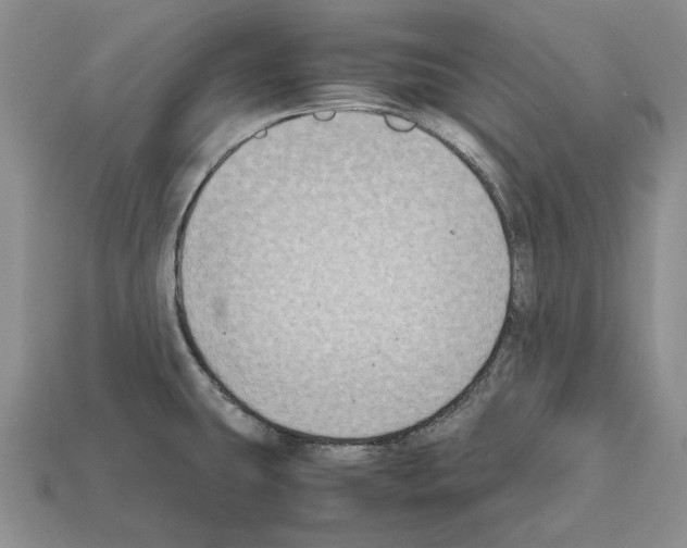 X0000112211431200909181545