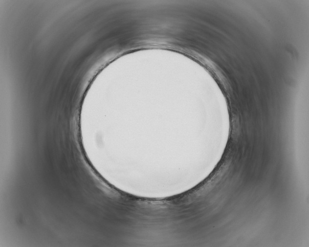 X0000112211432200909181545