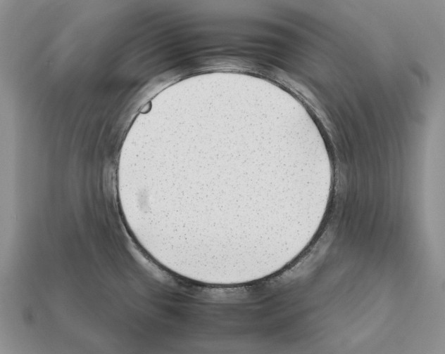 X0000112211433200909181545