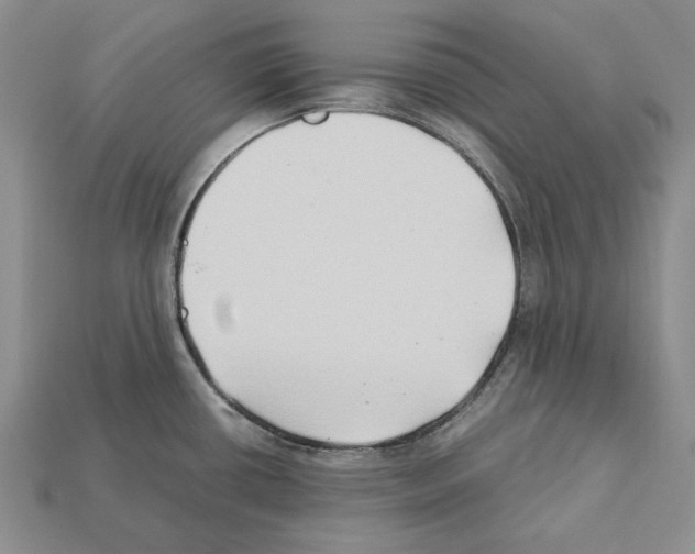 X0000112211434200909181545