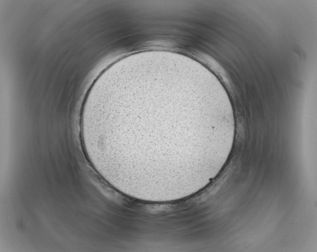 X0000112211435200909181545
