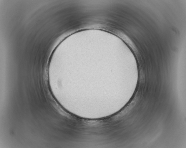 X0000112211436200909181545