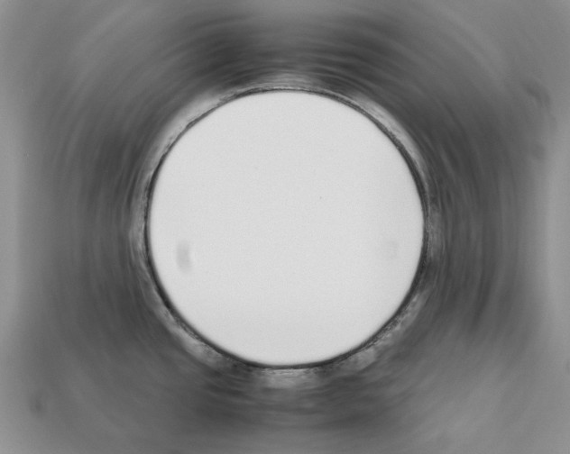 X0000112211437200909181545