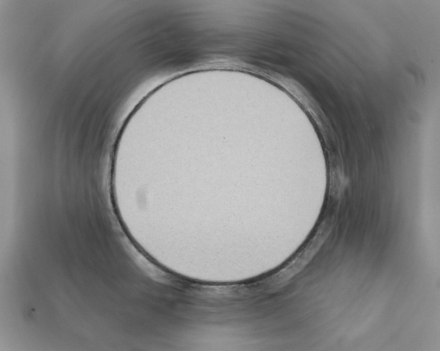 X0000112211438200909181545