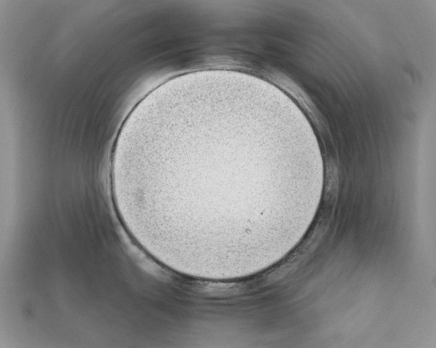 X0000112211439200909181545