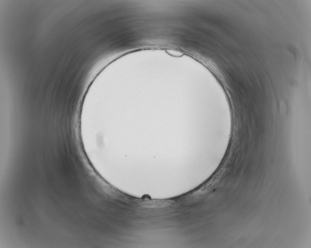 X0000112211440200909181545
