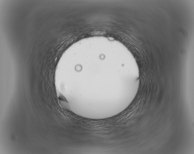 X0000112211441200909181544