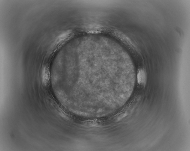 X0000112211444200909181544