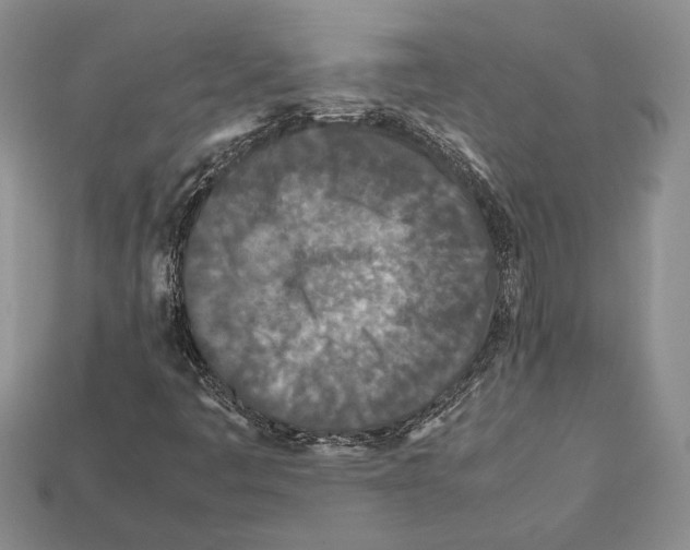 X0000112211445200909181544