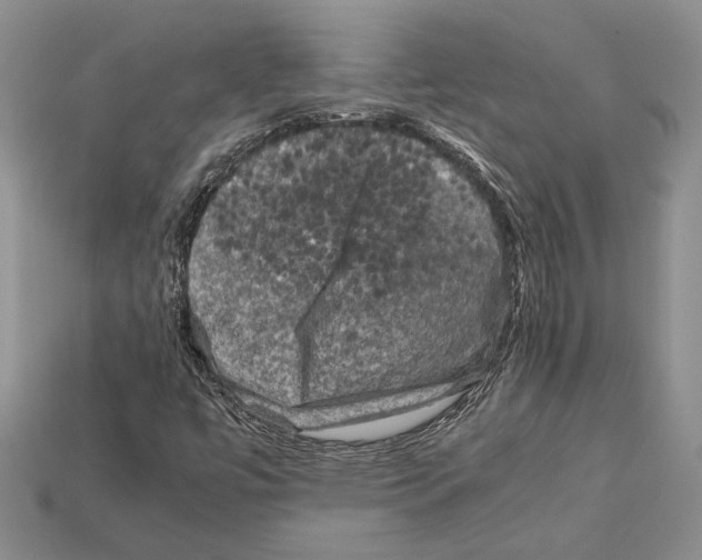 X0000112211447200909181544
