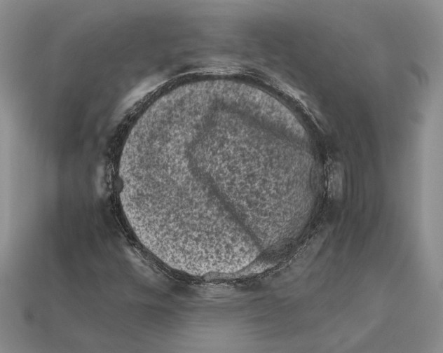 X0000112211448200909181544