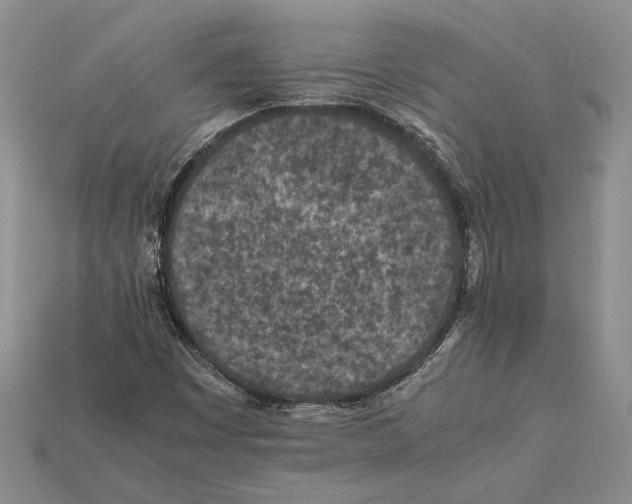 X0000112211449200909181544