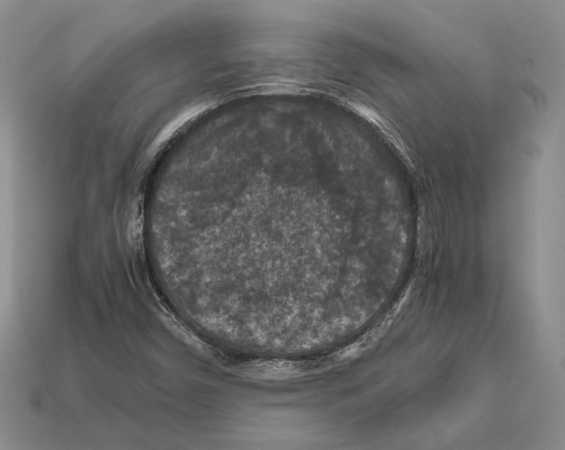 X0000112211450200909181544