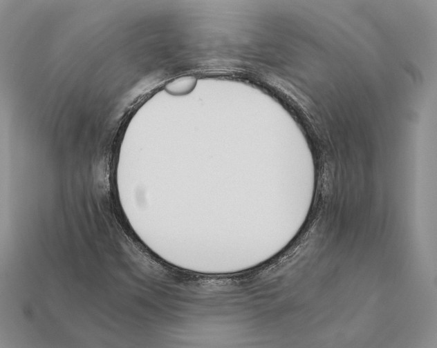 X0000112211451200909181544