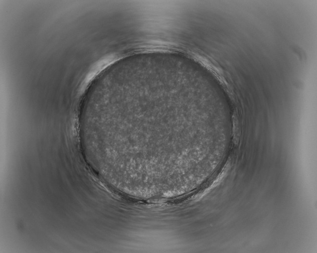 X0000112211453200909181544