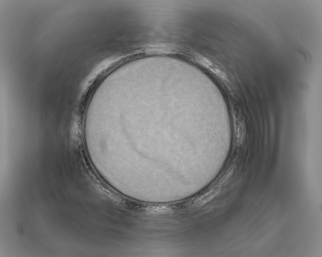X0000112211454200909181544