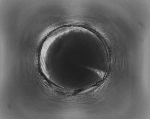 X0000112211455200909181544