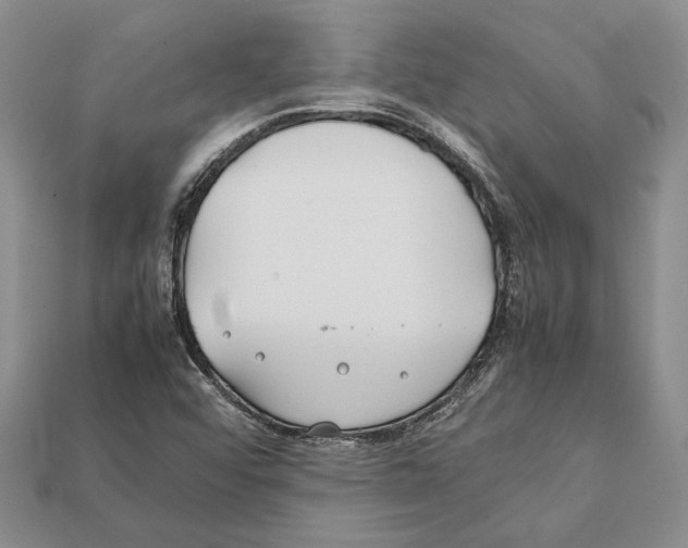 X0000112211456200909181544