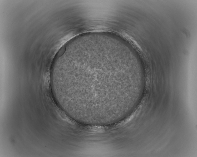 X0000112211457200909181544